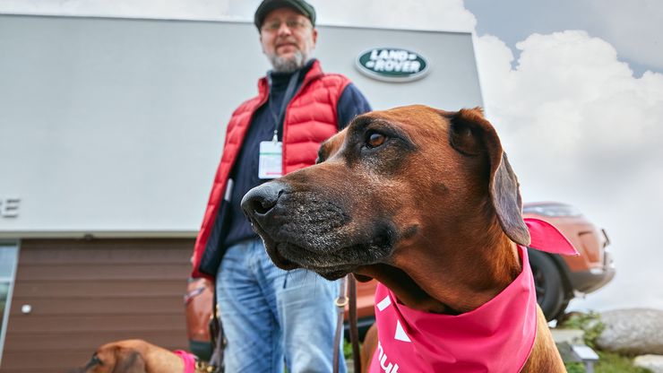  КОРПОРАТИВНЫЕ МЕРОПРИЯТИЯ