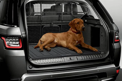 Аксессуары